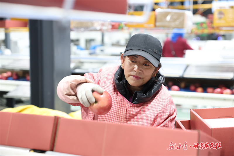 崇信：冬季苹果销售“热”