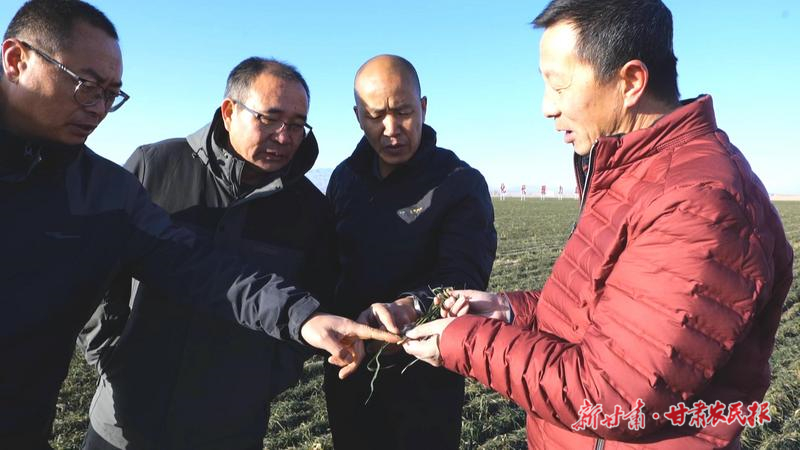 永昌:让科技特派员的“金手指”在基层发光