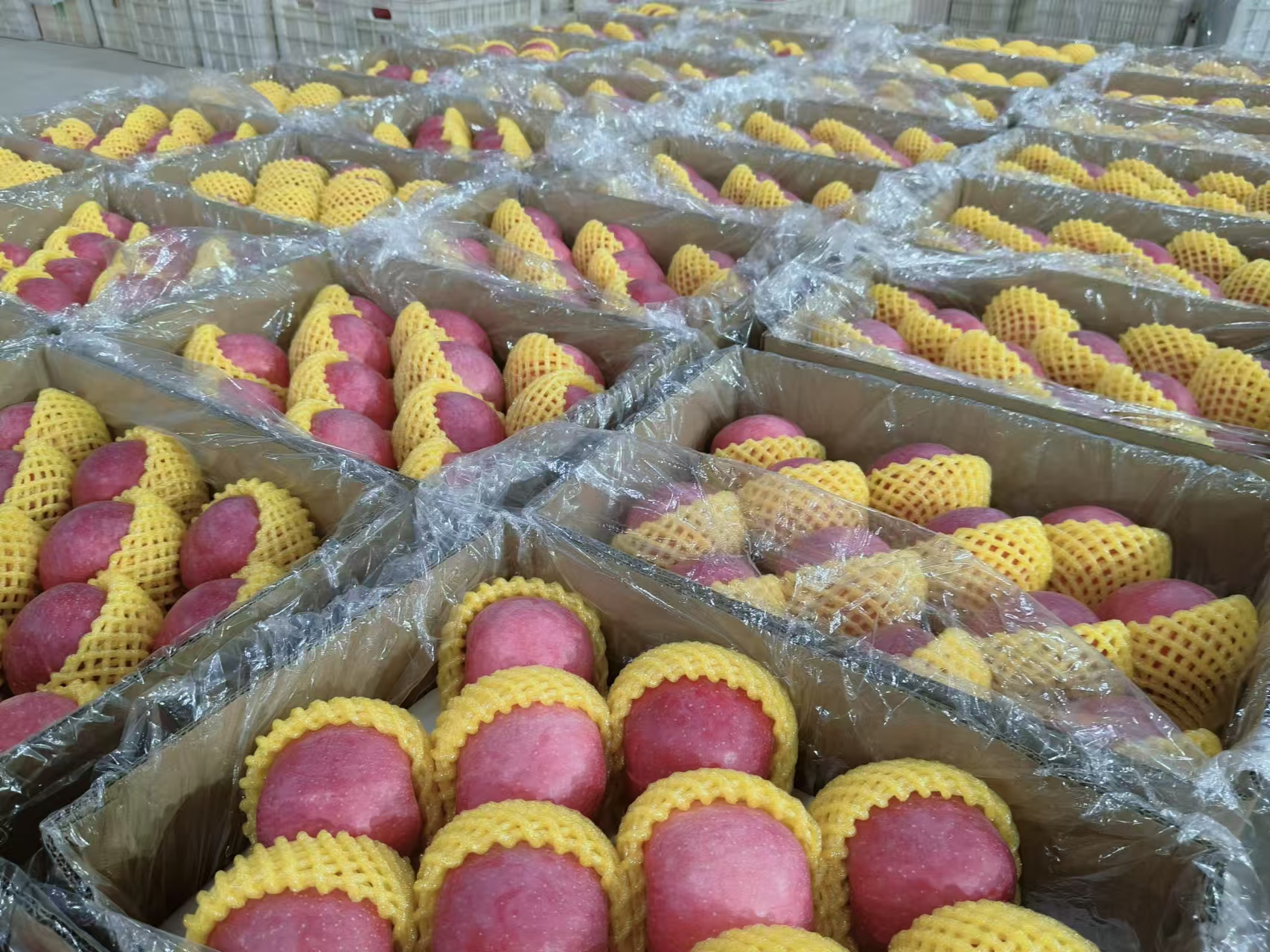 快递进村！灵台打通乡村振兴“神经末梢”