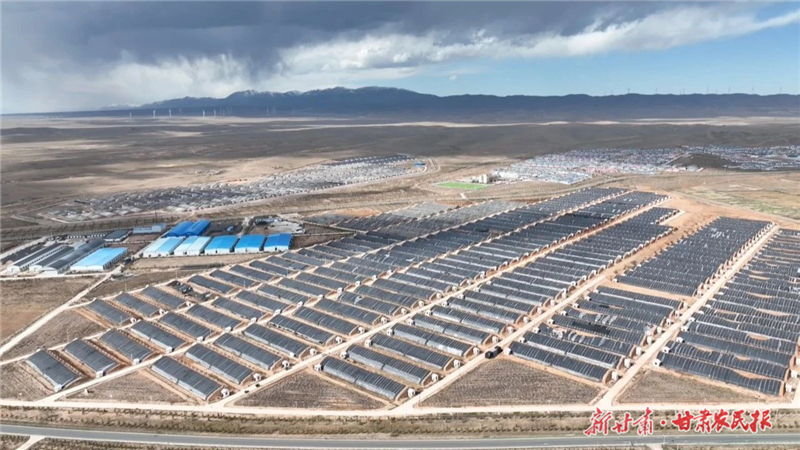 天祝县松山镇：食用菌产业助力乡村振兴