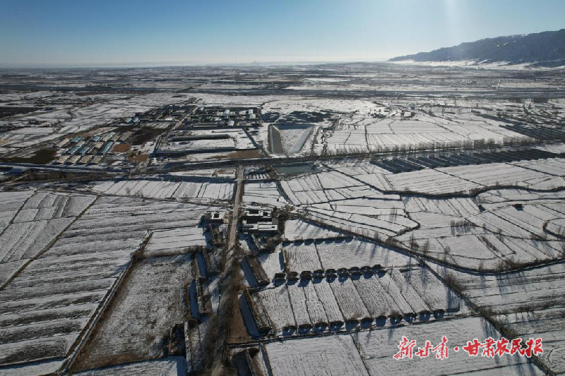 凉州区:广袤沃野“丰”景好 乡村振兴写新篇