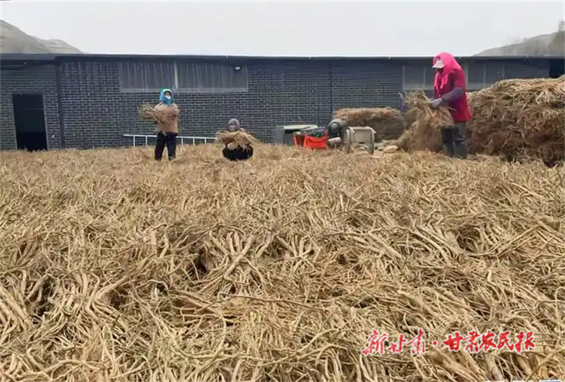 【回望2024·足迹】满载而归看增收