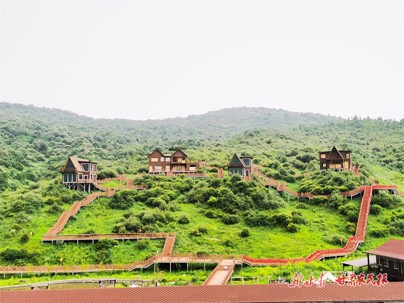 2024年的甘肃文旅,缘何这么“红”?