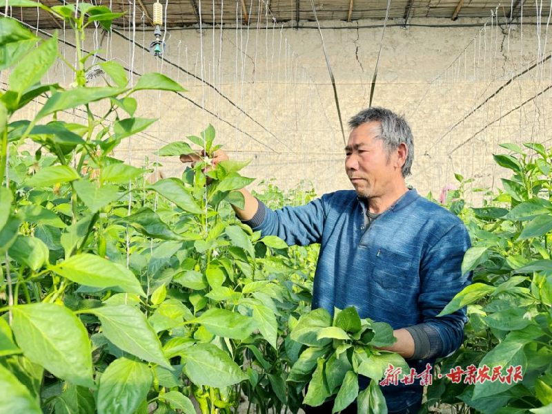 凉州:夯实“三农”基础 推进乡村振兴