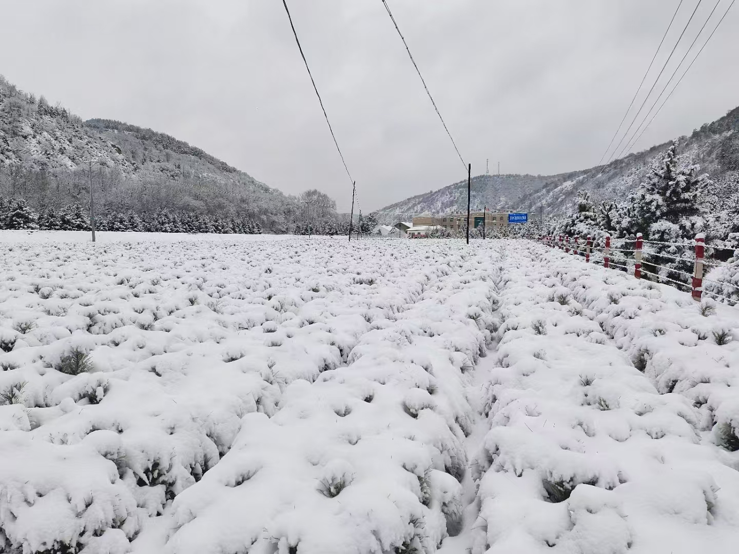 强寒潮来了！未来2天甘肃多地仍有雪 最低气温下降8~12℃