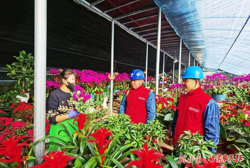 凉州:春节保电护航花卉产业