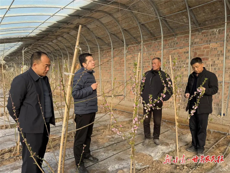 春节不打烊!林果技术服务“不缺席”