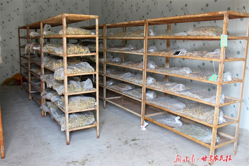 【万象“耕”新】庄浪：备足良种保春耕