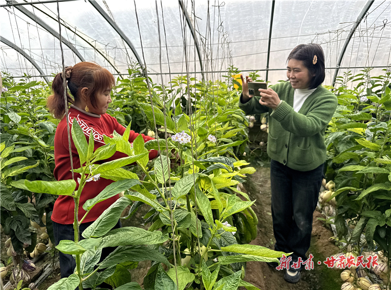 【新春走基层】一个新愿望