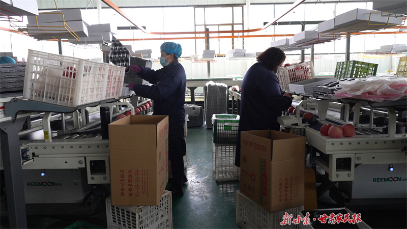 静宁：按下复工复产的“快进键”