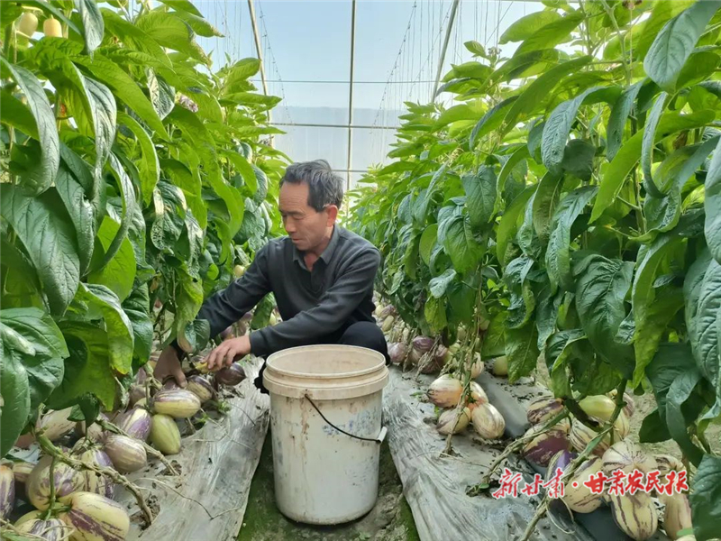 线上线下齐发力 民勤助农畅通销售渠道