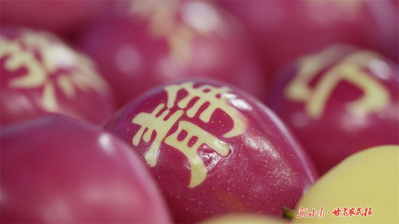 乘势而上 建设农业强市——平凉市2025年农业农村工作蓝图