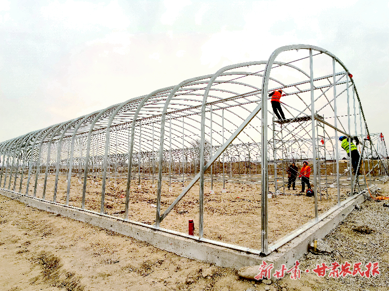 凉州区：日光温室产业园区建设项目加速推进