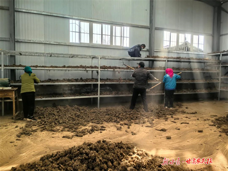 华亭：药材销售拓宽致富路