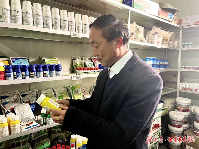 景红斌：旧集村的“果业头雁”