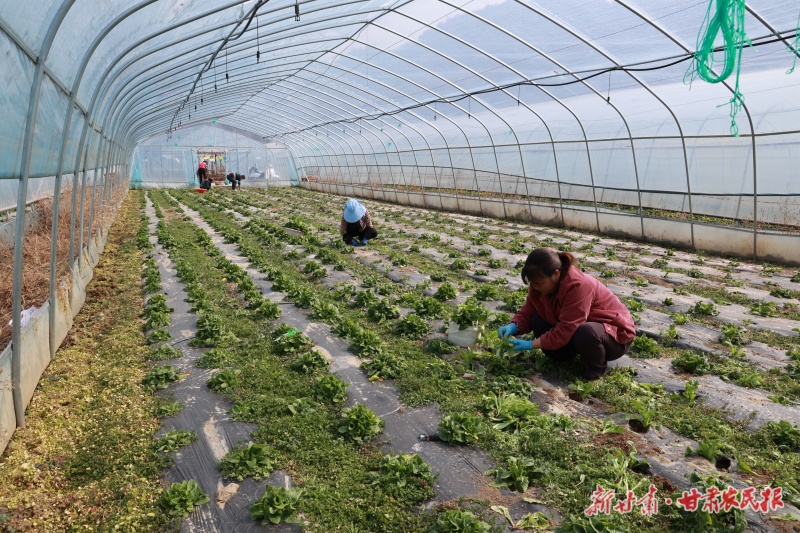 春耕备耕，春种春管