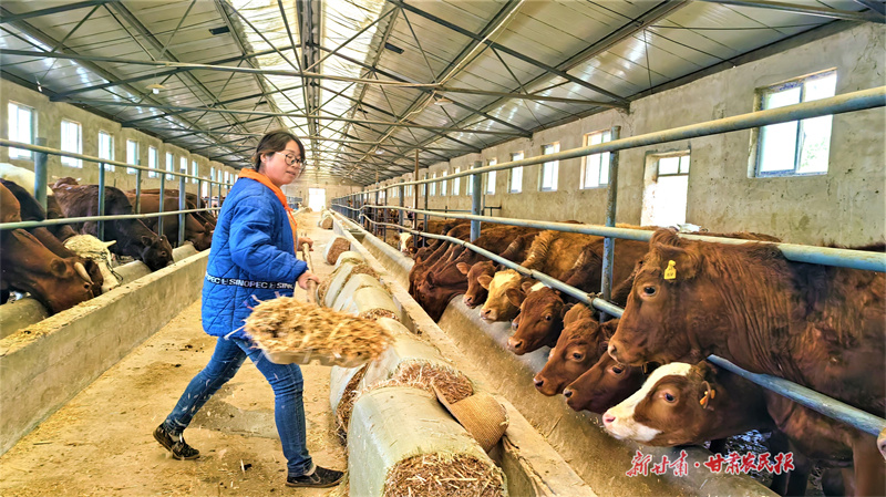 庄浪：“夫妻同心”奔富路