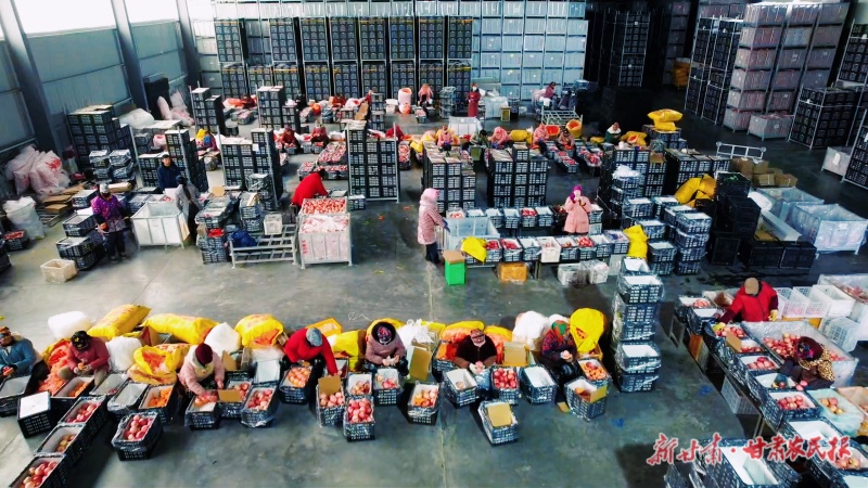 打包、装箱苹果