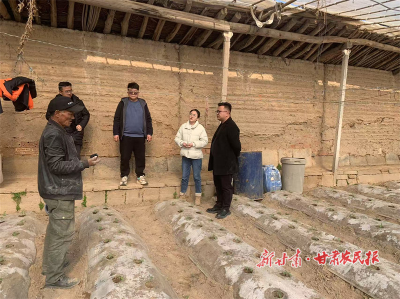 西固区新城镇：抢抓春耕黄金期 开启一年好“丰”景