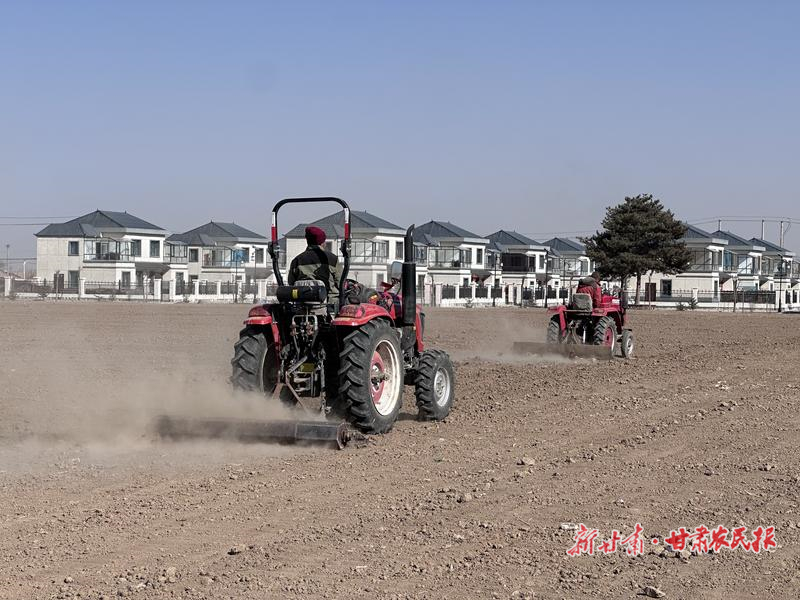 古浪：集约化生产激发乡村振兴新“动能”