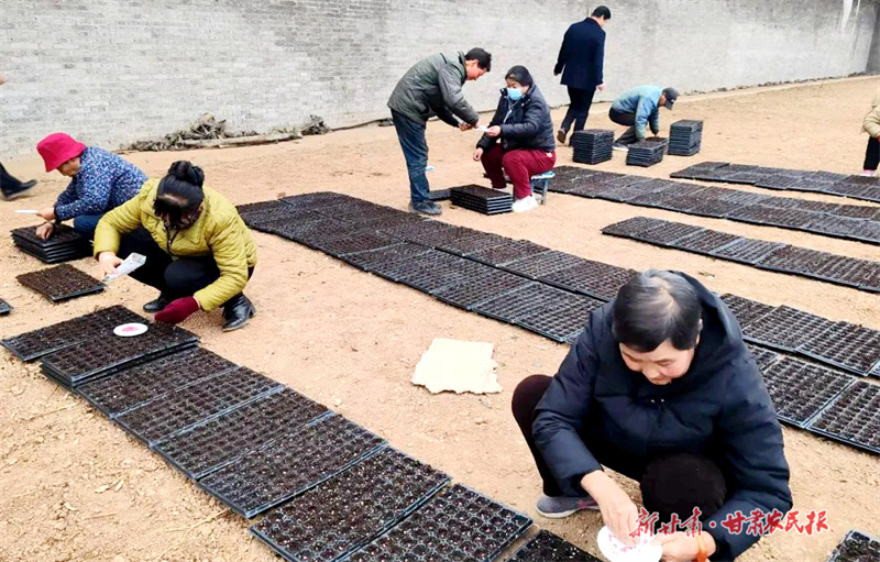 华亭:“苗”绘新希望