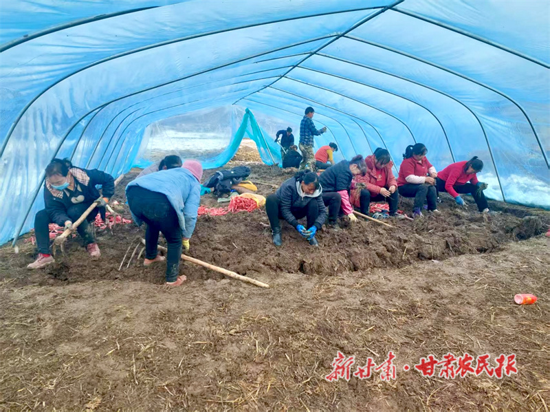 渭源县麻家集镇：抢抓农时 全面有序 推进春耕备耕工作