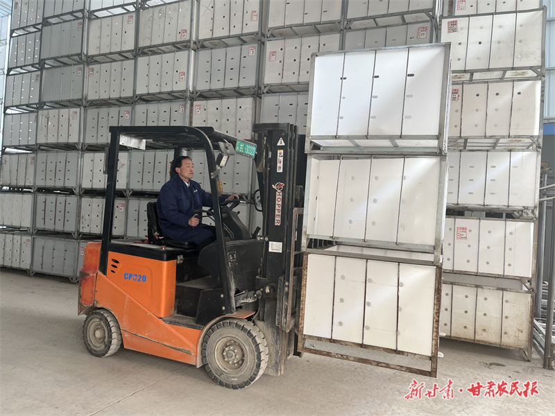 景红斌 旧集村的“果业头雁”