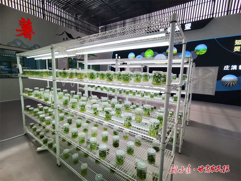 【两会反响】春潮涌动谋发展 扬帆奋进新征程——全国两会在我省引发热烈反响