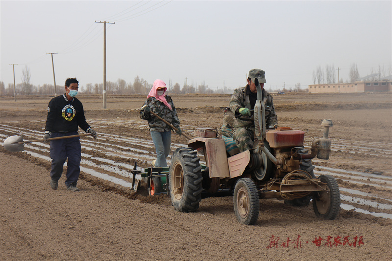 【大国策下的小日子】“小制种”孕育新希望