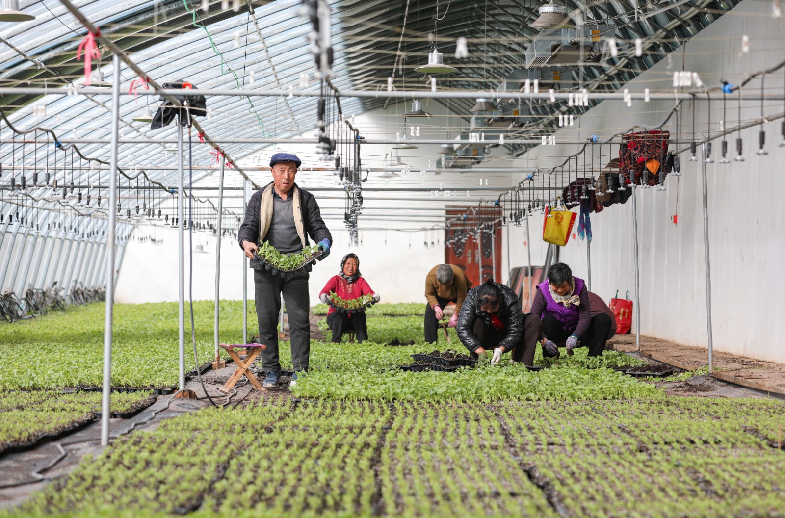 “天时”护航绘出陇原“春耕图”——甘肃省气象部门服务春耕备耕见闻