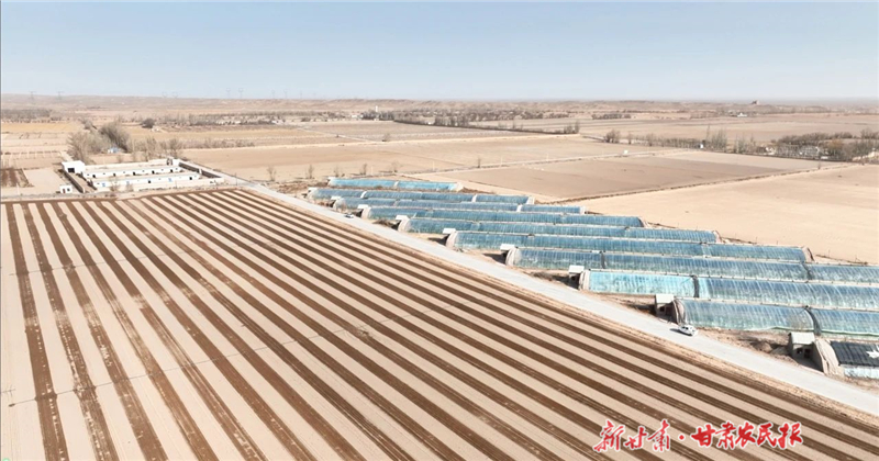 科技赋能春耕!金川区双湾镇拉满春播进度条