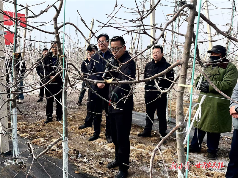 灵台：西屯镇万亩良田穿“新衣”