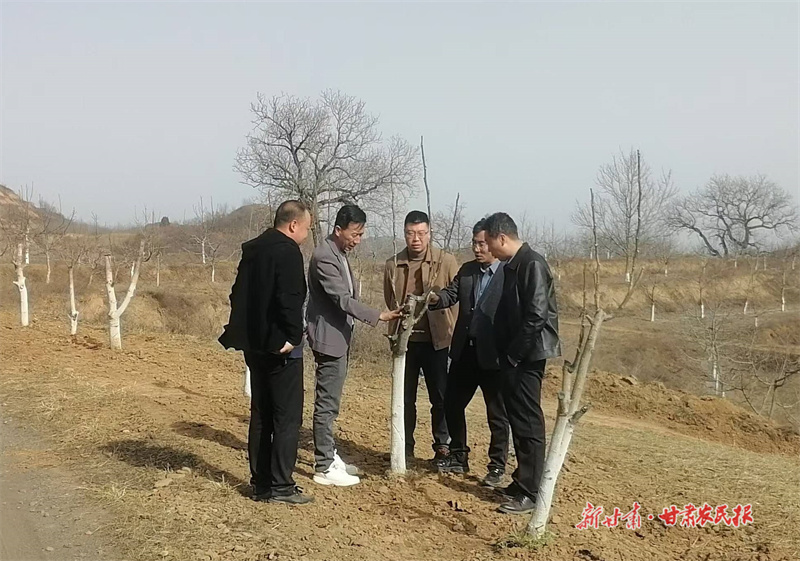 华亭：种养结合助力乡村产业兴