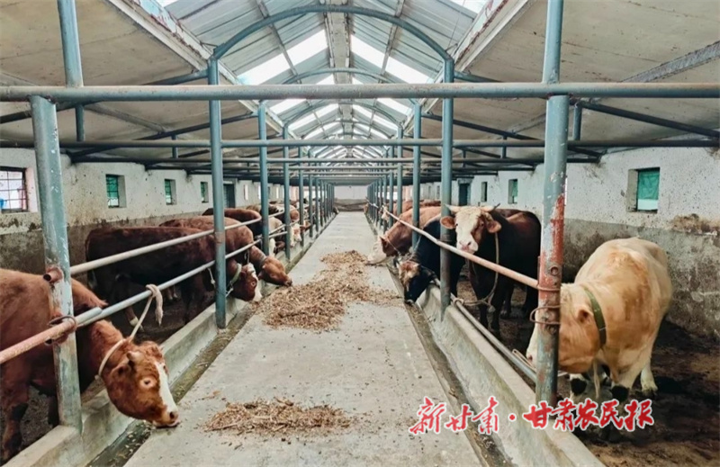 华亭：“以特富农”兴乡村