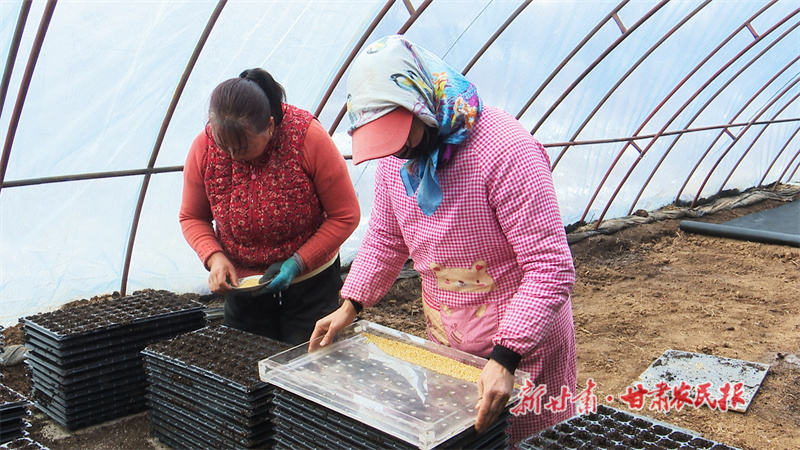 华亭：跑好春耕生产“第一棒”育出产业致富“新希望”