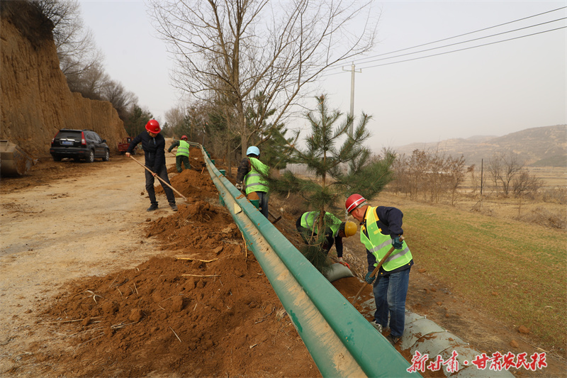 灵台：7.11公里的乡村振兴路