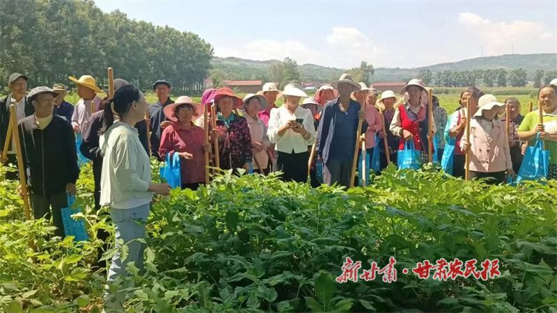 华亭：念好特色产业经 奏响乡村奋进曲