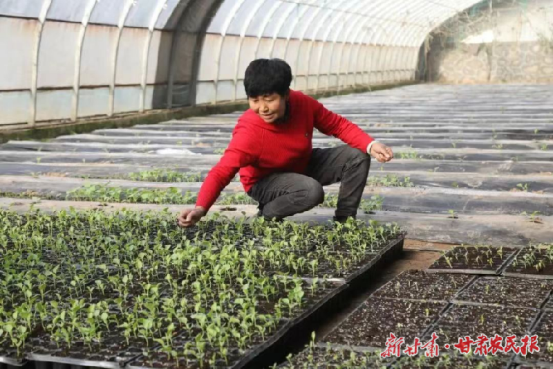 兰州：税惠春风拂面来   助力春耕正当时