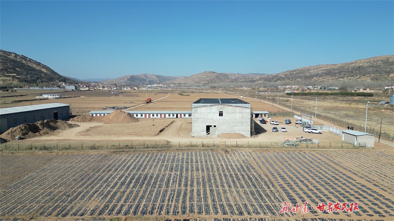 庄浪：建设马铃薯脱毒种苗种薯快繁基地
