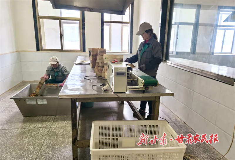 华亭：握住金“药”匙 “链”出好“钱”途