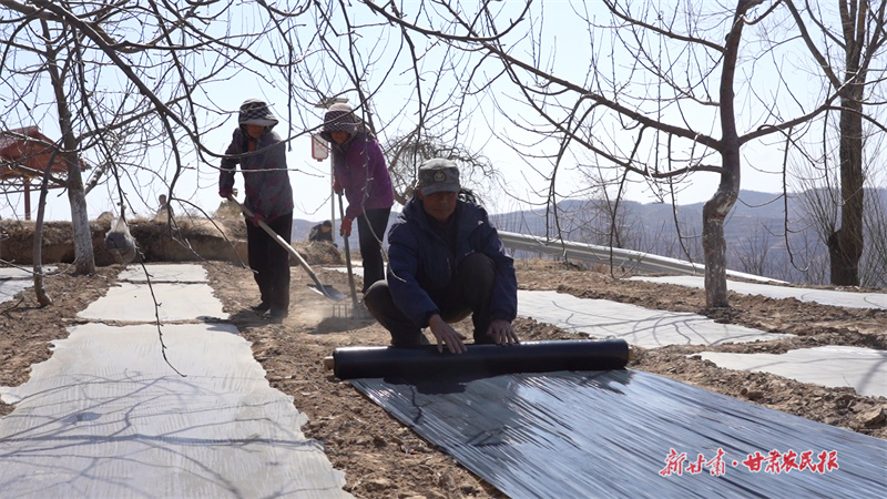 静宁：万象“耕”新不负春
