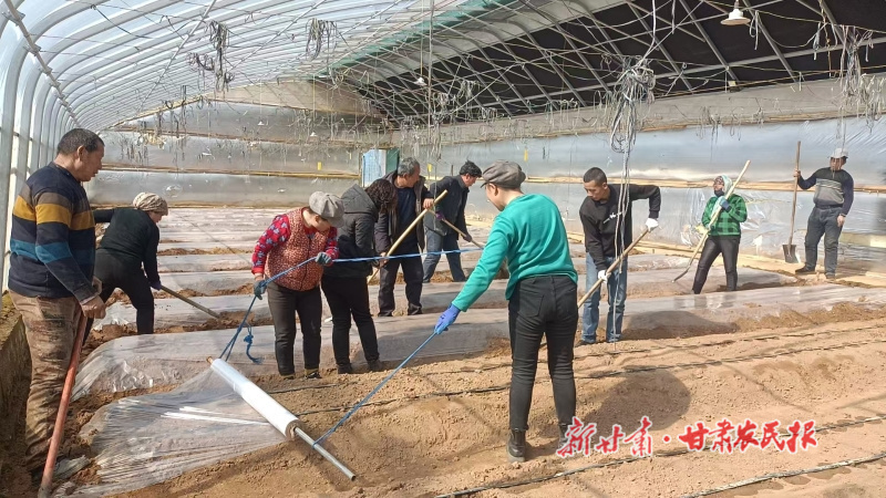 华亭：“棚”里兴产业“蔬”写好“丰景”