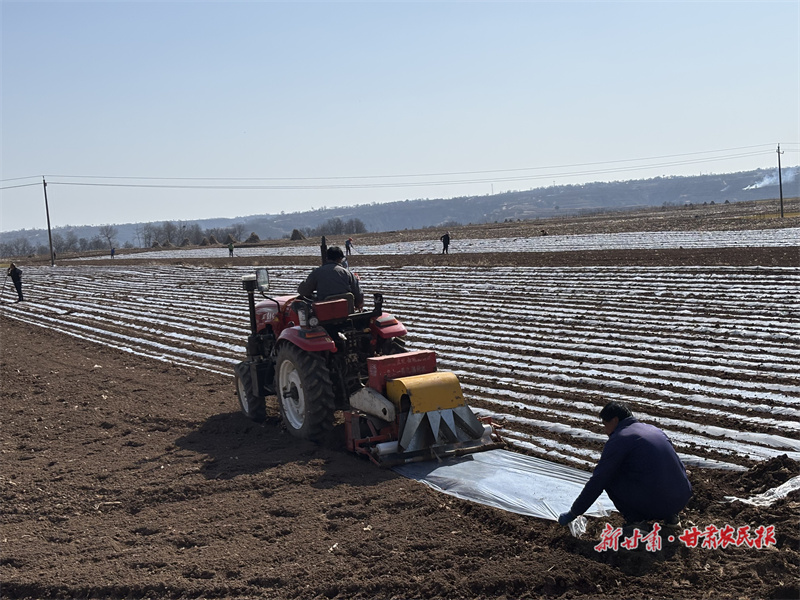 追着春光忙农事——灵台县春耕生产工作见闻