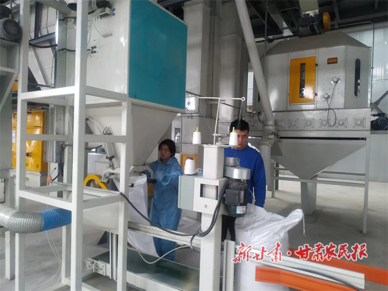 华亭：一条“牛”产业 最“牛”致富路