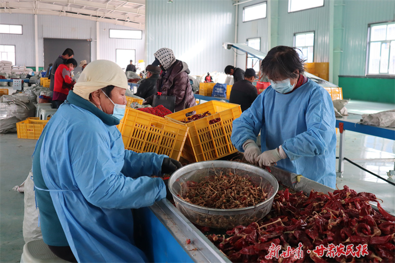 ​崆峒区：乡风文明劲风吹