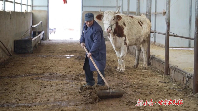 天祝县哈溪镇：养殖业拓开致富路