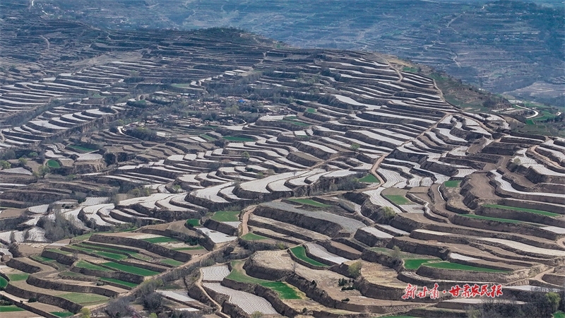庄浪梯田披“银装”