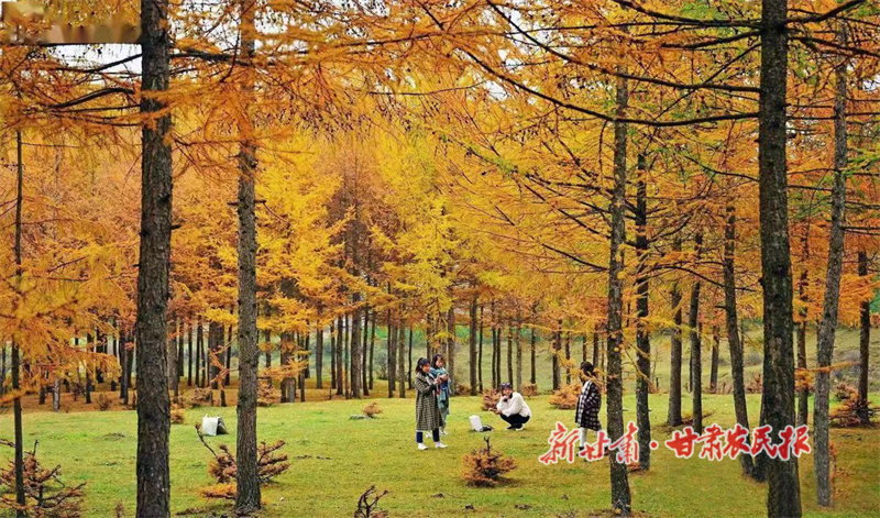 华亭：构建“三链协同”新格局 擘画乡村振兴新图景