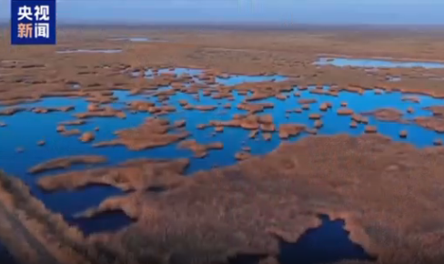 从风沙口到“候鸟驿站” 青土湖重新焕发生机