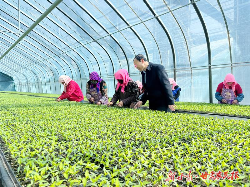 凉州区：产业蓬勃起 发展劲头足